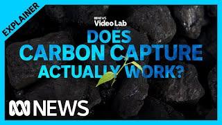 How does carbon capture and storage actually work? | ABC News