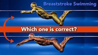 Breaststroke Swimming :: The 5 most important things