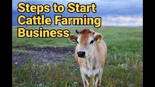 Cattle Farming Business Plan / How to Start a Cattle Farm