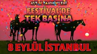 8 Eylül İstanbul At Yarışı | 2.Altılı Tahminleri #tjk #zaferyolu Yarış Festivali