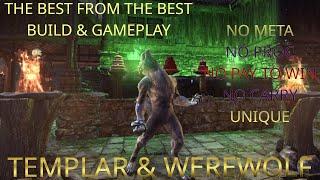 [ESO] SCIONS OF ITHELIA | STRONGEST WEREWOLF 1VX PVP BUILD YOU CAN FIND | 1V1 / 1VX / OUTNUMBERED