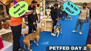 Bullyne DOG Show mei lagaye char chandPet FED Delhi 2024 - 2025