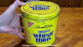 Opening 34 Year Old Wheat Thins Preserved In A Tin, What Will It Look Like?