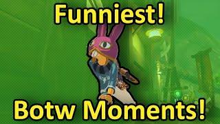 Funniest Botw Moments!