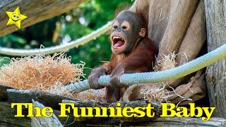 Have Fun Seeing the Funniest Baby Orangutan Kendari!#funny#orangutans#funnyanimals#funnyvideos#zoo