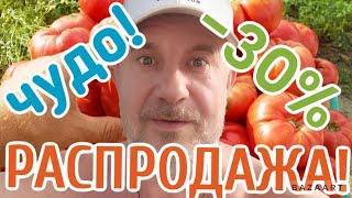 Ура! Летние СКИДКИ 30% уже на сайте pomidom.ru Мы это сделали!