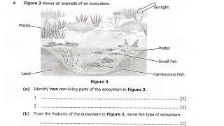 2023 Biology Paper 2 Internal Full Paper Revision | Ace Your  Exams