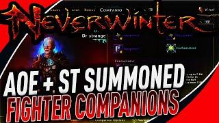 BEST AoE + Single Target SUMMONED FIGHTER COMPANIONS in Neverwinter