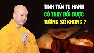 Tinh tấn tu hành có thay đổi được TƯỚNG SỐ hay không ? Thầy Thích Pháp Hòa