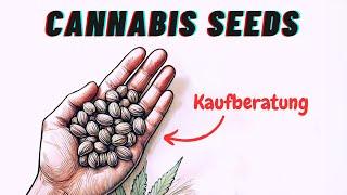 Kaufberatung für Cannabis Samen - Alles was man über Seeds wissen muss