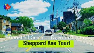 Summer Drive on Sheppard Avenue – Toronto Views! #trending #subscribe #shortvideo #short