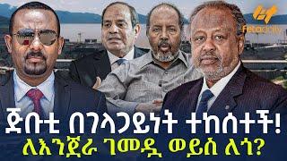 Ethiopia - ጅቡቲ በገላጋይነት ተከሰተች! | ለእንጀራ ገመዷ ወይስ ለጎ?