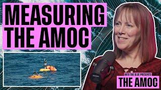 How Ocean Arrays Give Us Indications of the AMOC's Health | Into the Blue Presents: The AMOC (EP4)