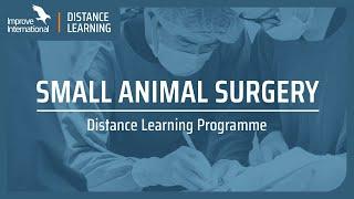 Small Animal Surgery Distance Learning Postgraduate Certificate Programme