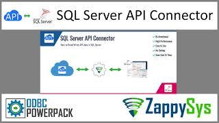 SQL Server API Connector - Read/Write REST API Data in SQL Server using predefined Connector File