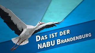 Das ist der NABU Brandenburg