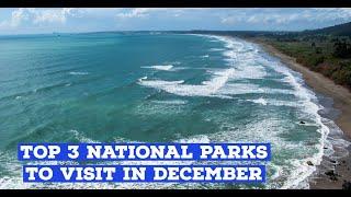 Top 3 National Parks to visit in December | Mammoth Cave | Biscayne | Redwood National Parks