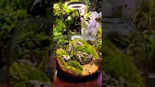 Make Beautiful Natural Scene In Glass Jar | Art Hub | #shorts #art #artwork