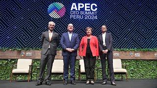 Driving Prosperity: Financial Access and Economic Growth at the APEC CEO Summit 2024