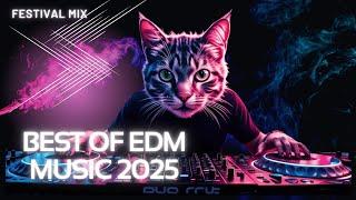 EDM MUSIC MIX POPULAR SONGS 2025