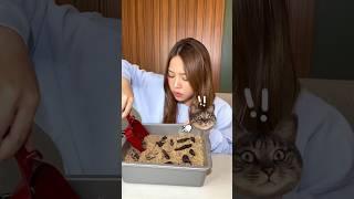 Makan pasir kucing kue. Mirip banget kan sama yg asli 