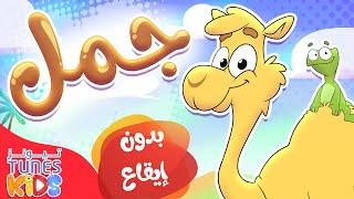 أغنية الجمل بدون ايقاع | قناة تيونز كيدز - Tunes Kids