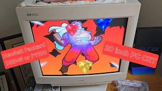 Hewlett Packard - D2846 or P1100 - PC CRT Monitor - Overview - 21" Sony Tube!!