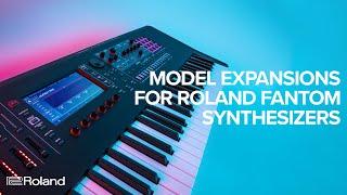 Model Expansions for Roland FANTOM Synthesizers (FANTOM 6, FANTOM 7, FANTOM 8)