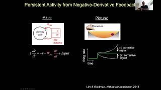 Mark Goldman - Balanced networks for working memory and neural integration