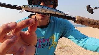 How To Catch Fish with the Lucky Craft Flash Minnow