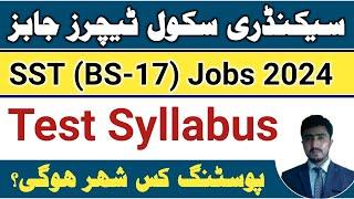 Fpsc SST Jobs 2024 syllabus | SST jobs details | FPSC SST BS 17 salary | duty city
