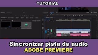 Como sincronizo las pistas de audio a video