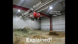 The Vector - Our Cows Personal Salad Machine | Feeding Robot in Detail