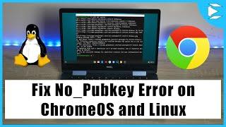 Fix NO_PUBKEY Error in Linux on Chromebook