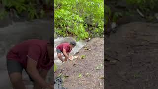 man vs wild #comedy marathi viral video #kokani  #viralvideo #viralshorts