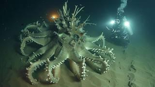 Scariest Deep Sea Creatures Caught On Camera by Submarines