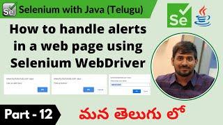 P12 - How to handle alerts in a web page using Selenium WebDriver | Selenium | Java |