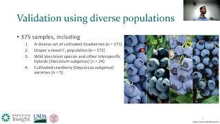 A public mid-density genotyping platform for blueberry (V. corymbosum)