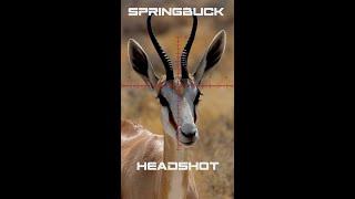 Incredible Precision: Watch a Springbuck Headshot in Slow-Motion!