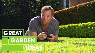 How to get the Perfect Green Lawn | Gardening | Great Home Ideas