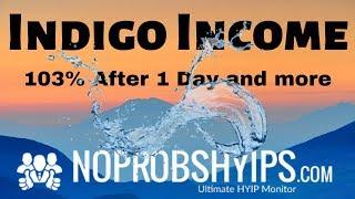 Indigo Income - Review - SCAM