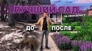 САД СПУСТЯ 2 ГОДА | озеленение участка