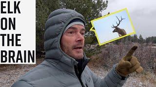 Fall Elk Photography in the Tetons - With a Stunning Workshop Season Elk Recap