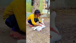 Kitty के लगी चोट |Sad emotional story video|#shorts #sad #story