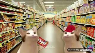 Pop Cat Skittles Meme