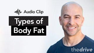 Subcutaneous Fat vs. Visceral Fat - What's the Difference? | The Peter Attia Drive