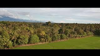 SJRC F11 4K PRO CINEMATIC VIDEO LUPON DAVAO ORIENTAL