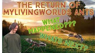 The Return Of MyLivingWorlds Ants