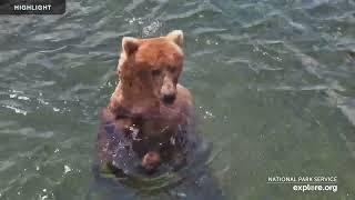 River Watch - Katmai National Park | 2023 Highlights