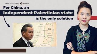 China calls for a "roadmap" to a two-state solution | News on China No. 175